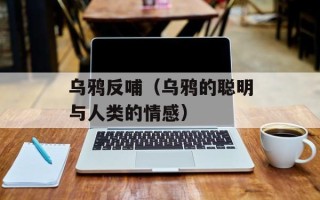 深圳青年学习网（打造青年学习的优质平台）