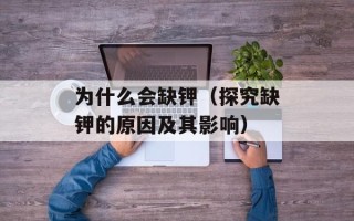 法外特工（一部热血动作电影的剧情介绍）