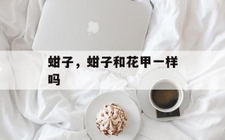 蚶子，蚶子和花甲一样吗