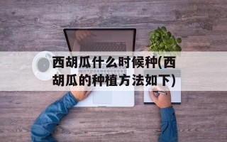 西胡瓜什么时候种(西胡瓜的种植方法如下)