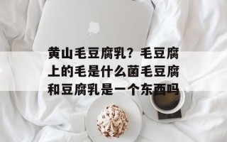 黄山毛豆腐乳？毛豆腐上的毛是什么菌毛豆腐和豆腐乳是一个东西吗