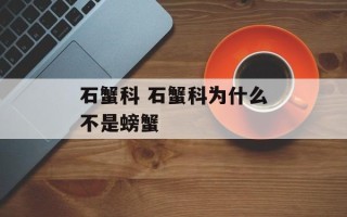 石蟹科 石蟹科为什么不是螃蟹