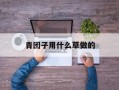 青团子用什么草做的