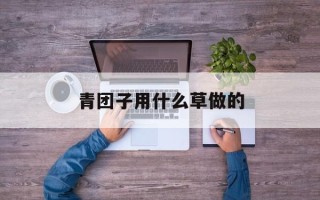 青团子用什么草做的