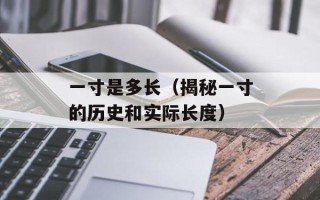 学会自觉的小象读后感（小说《学会自觉的小象》的感想与评价）