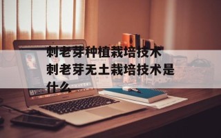 刺老芽种植栽培技术 刺老芽无土栽培技术是什么