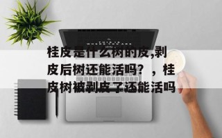 桂皮是什么树的皮,剥皮后树还能活吗？，桂皮树被剥皮了还能活吗