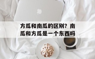 方瓜和南瓜的区别？南瓜和方瓜是一个东西吗