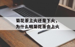 菊花茶上火还是下火，为什么喝菊花茶会上火