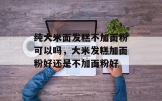 纯大米面发糕不加面粉可以吗，大米发糕加面粉好还是不加面粉好