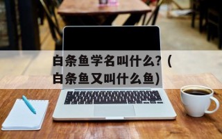 白条鱼学名叫什么？(白条鱼又叫什么鱼)