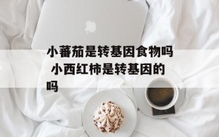 小蕃茄是转基因食物吗 小西红柿是转基因的吗