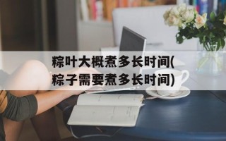 粽叶大概煮多长时间(粽子需要煮多长时间)