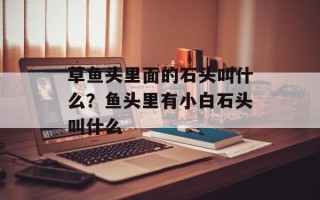 草鱼头里面的石头叫什么？鱼头里有小白石头叫什么
