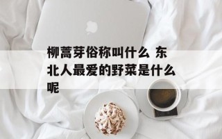 柳蒿芽俗称叫什么 东北人最爱的野菜是什么呢