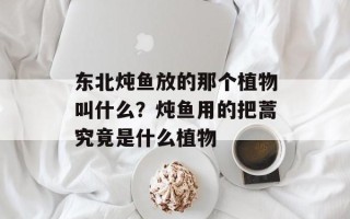 东北炖鱼放的那个植物叫什么？炖鱼用的把蒿究竟是什么植物
