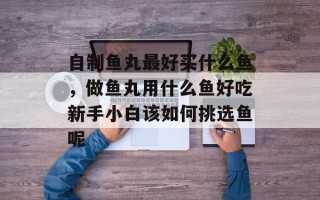 自制鱼丸最好买什么鱼，做鱼丸用什么鱼好吃新手小白该如何挑选鱼呢
