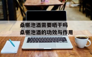 桑椹泡酒需要晒干吗 桑椹泡酒的功效与作用