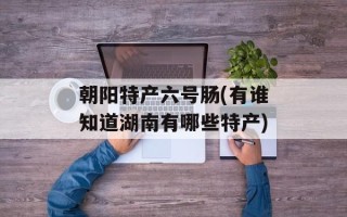 朝阳特产六号肠(有谁知道湖南有哪些特产)