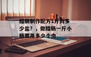 腊肠制作配方1斤肉多少盐？，做腊肠一斤小肠要用多少个肉