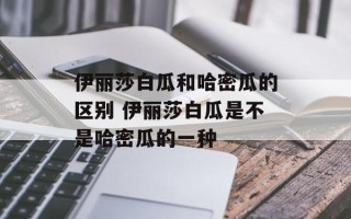 伊丽莎白瓜和哈密瓜的区别 伊丽莎白瓜是不是哈密瓜的一种
