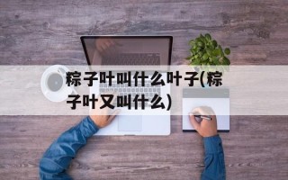 粽子叶叫什么叶子(粽子叶又叫什么)