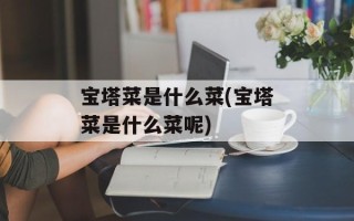 宝塔菜是什么菜(宝塔菜是什么菜呢)