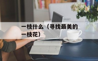 小三你好贱歌词下载（完整版歌词及音频下载）