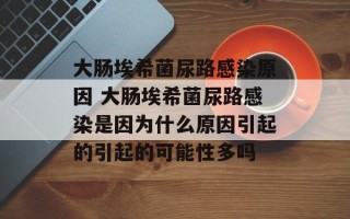 大肠埃希菌尿路感染原因 大肠埃希菌尿路感染是因为什么原因引起的引起的可能性多吗