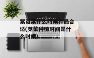 紫苋菜什么时候种最合适(苋菜种植时间是什么时候)