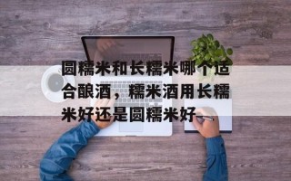 圆糯米和长糯米哪个适合酿酒，糯米酒用长糯米好还是圆糯米好