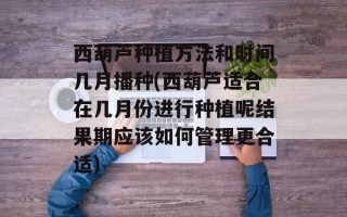 西葫芦种植方法和时间几月播种(西葫芦适合在几月份进行种植呢结果期应该如何管理更合适)