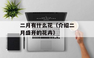 王珞丹后援会（致敬王珞丹的粉丝组织）