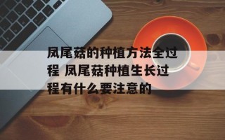 凤尾菇的种植方法全过程 凤尾菇种植生长过程有什么要注意的