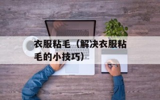 蒜香虾仁做法，蒜香虾皮