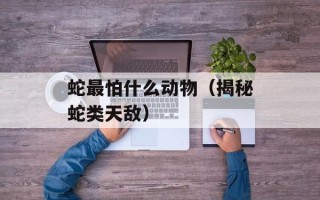 莲子心的功效与作用和主治，莲子心的功效与作用和药用