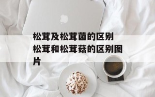 松茸及松茸菌的区别 松茸和松茸菇的区别图片