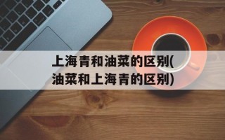 上海青和油菜的区别(油菜和上海青的区别)