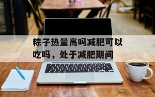 粽子热量高吗减肥可以吃吗，处于减肥期间