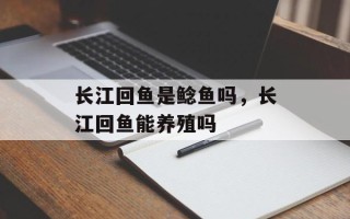 长江回鱼是鲶鱼吗，长江回鱼能养殖吗