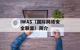 vs vip（比较vs和vip的优缺点）