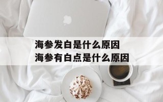 海参发白是什么原因 海参有白点是什么原因