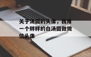 关于汤圆的头像，我用一个胖胖的白汤圆做微信头像