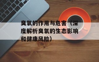 红烧牛肉粉怎么做，红烧牛肉粉图片大图