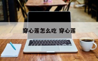 穿心莲怎么吃 穿心莲