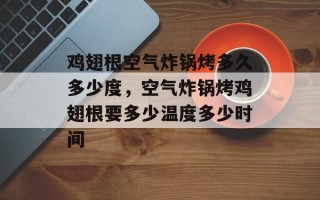 鸡翅根空气炸锅烤多久多少度，空气炸锅烤鸡翅根要多少温度多少时间