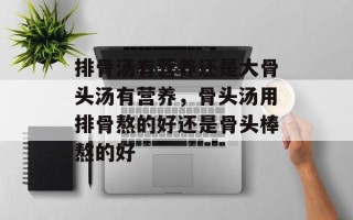 排骨汤有营养还是大骨头汤有营养，骨头汤用排骨熬的好还是骨头棒熬的好