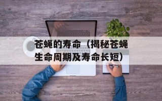 羊肉串怎么烤好吃窍门，羊肉串怎么烤好吃在家自己做