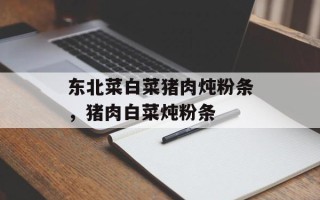 东北菜白菜猪肉炖粉条，猪肉白菜炖粉条