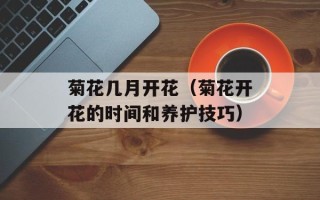 自制烙饼油刷，自制烙饼需要泡打粉吗
